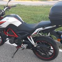 Benelli BN 251 - 2021