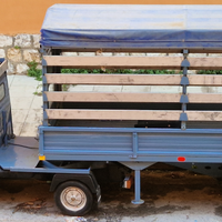 Ape 703 puntarò