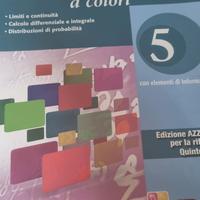 Nuova Matematica a colori 5