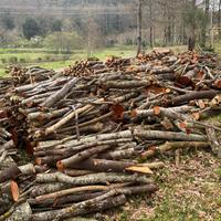 Legna da ardere ontano e pino