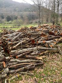 Legna da ardere ontano e pino