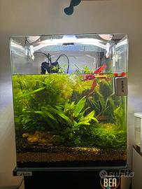 Acquario Aquael 70L con colonnina apposita