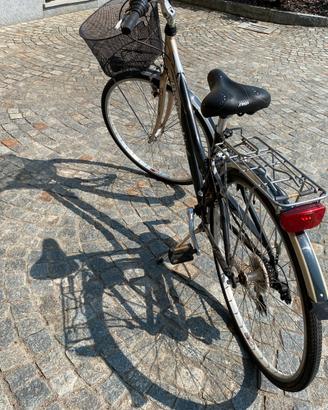 Bicicletta marchio Bottecchia