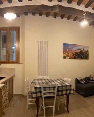 Casa vacanze centro storico SIENA