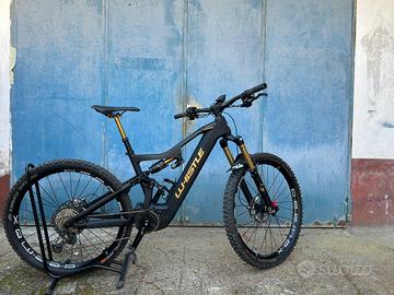 Ebike Whistle B-Rush C 10.2