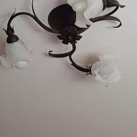 lampadario e lampade