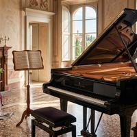 Pianista d'hotel