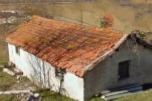 Rustico con terreno, Terria