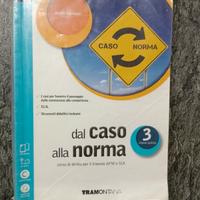 dal caso alla norma 3