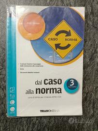 dal caso alla norma 3