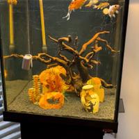 Acquario Wave 180 litri