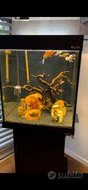 Acquario Wave 180 litri