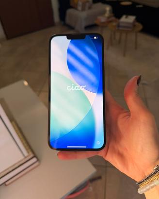 Iphone 13 Pro Max 256GB