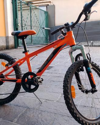 Bici bambino 6 anni