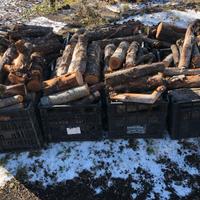 Legna da ardere secca non trattata