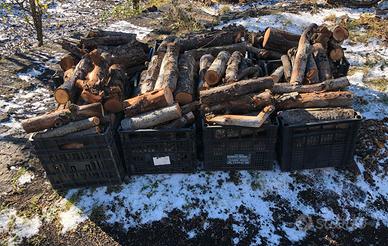 Legna da ardere secca non trattata