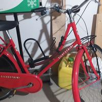 Bici e Mountain bike americana