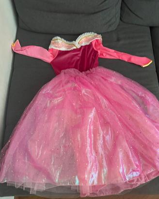 Vestito di carnevale delle principesse
