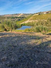 Rif 207b terreno a citta' sant'angelo