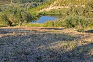 Rif 207b terreno a citta' sant'angelo
