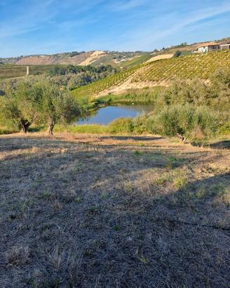 Rif 207b terreno a citta' sant'angelo