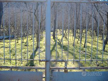 Terreno agricolo produttivo 1900 mq