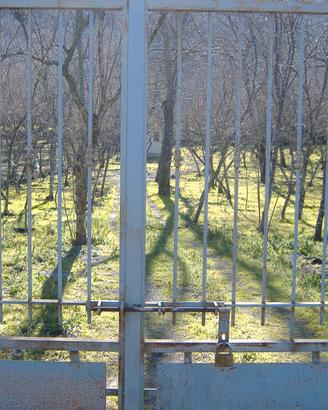 Terreno agricolo produttivo 1900 mq