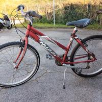 Mountain bike marca Nuzzi 