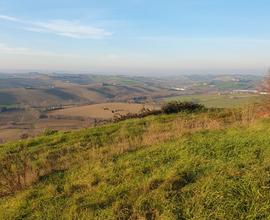 Terreno edificabile situato a Rustico Polv