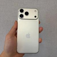 iPhone 17 Pro Max 256 GB argento