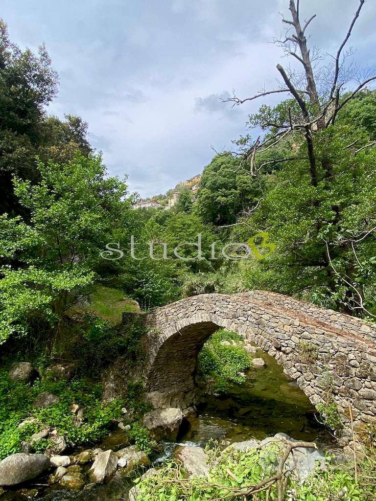 Rustico-Casale a Vallebona - Vista 2