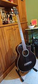 BASSO ACUSTICO FRETLESS
