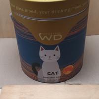 Caraffa in vetro con all'interno un gatto 