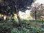 Immagine 26