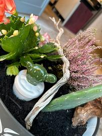 Fiori in composizione
