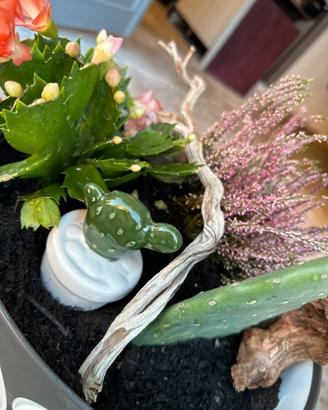Fiori in composizione