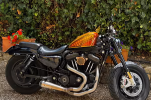Harley davidson forty eight