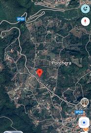 Terreno 4500 mq. Pianeggiante e parzialmente edif