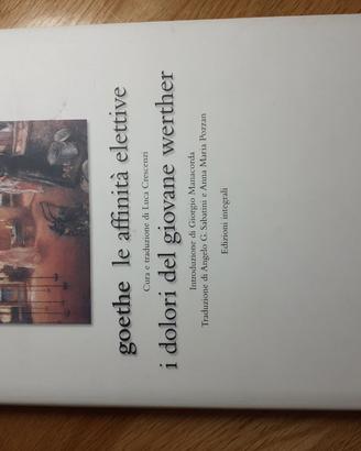 Le affinità elettive i dolori del giovane werther