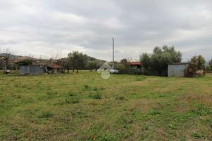TER. RESIDENZIALE A CAMPLI