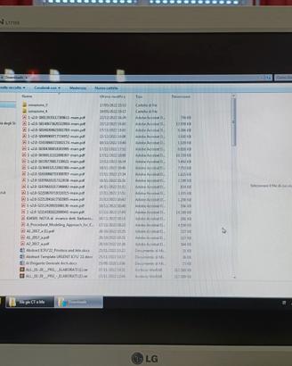 Monitor LG 17 pollici