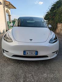 Model Y Performance Dual Motor awd