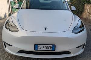 Model Y Performance Dual Motor awd