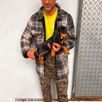 Cuccioli di Bassotto Nano