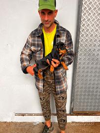 Cuccioli di Bassotto Nano