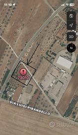 Terreno in agro di Veglie