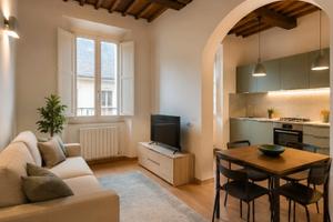 Bilocale-Firenze San Frediano-arredata