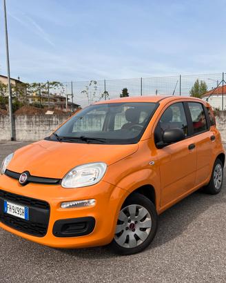 Fiat Panda 1.2 Benzina 69cv 2017 Neopatentati