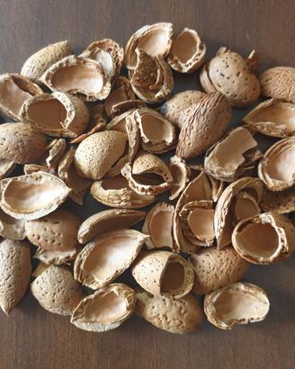 Gusci di Mandorle Siciliane