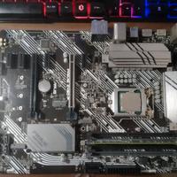 Asus PRIME Z490-P i5 10400 2.90 8 Gb ram 2666 mhz